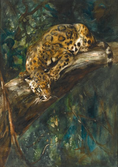 A Panther on a Branch by Cuthbert Edmund Swan